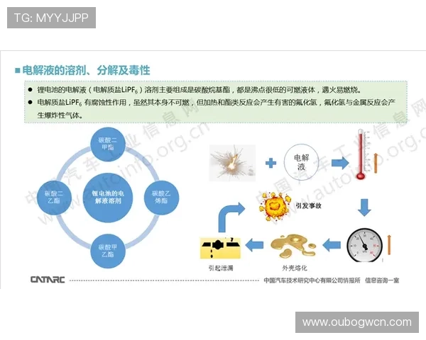欧博官网登录入口安全性问题及其应对策略分析